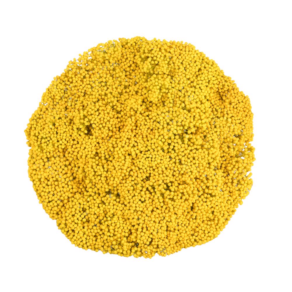 esmeralda-farms-rice-flower-yellow-tint-3