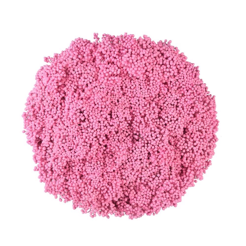 esmeralda-farms-rice-flower-light-pink-3