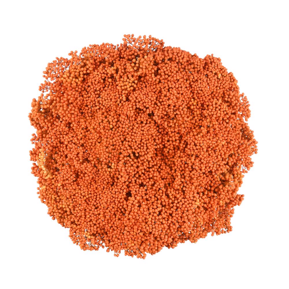 esmeralda-farms-rice-flower-orange-3