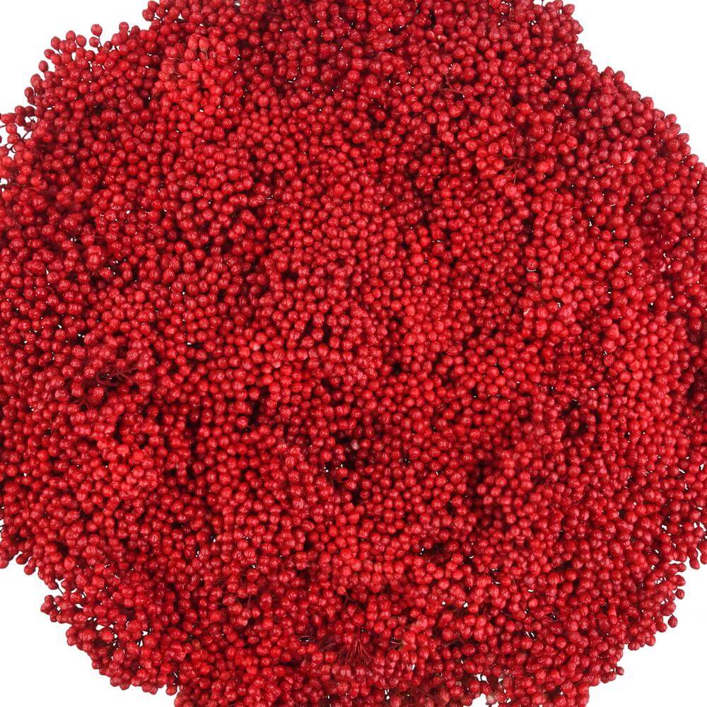 esmeralda-farms-rice-flower-red