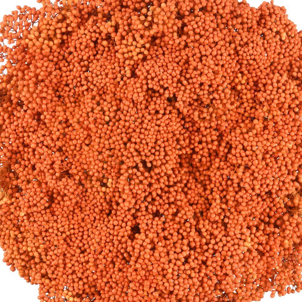 esmeralda-farms-rice-flower-orange