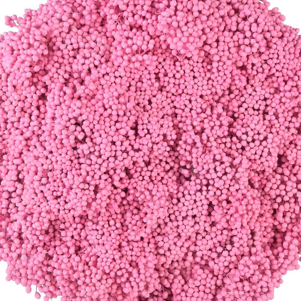 esmeralda-farms-rice-flower-light-pink