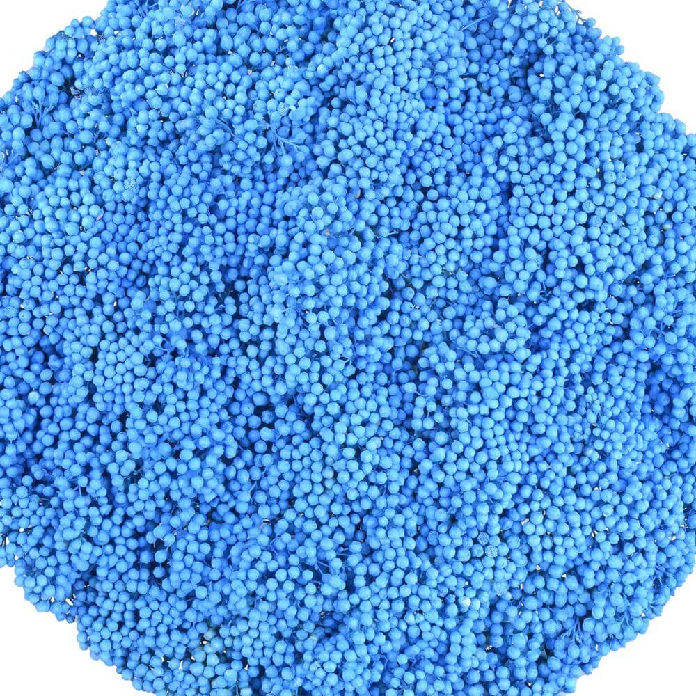 esmeralda-farms-rice-flower-light-blue