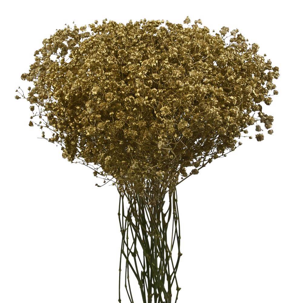 esmeralda-farms-gypsophila-metallic-gold-tint-2