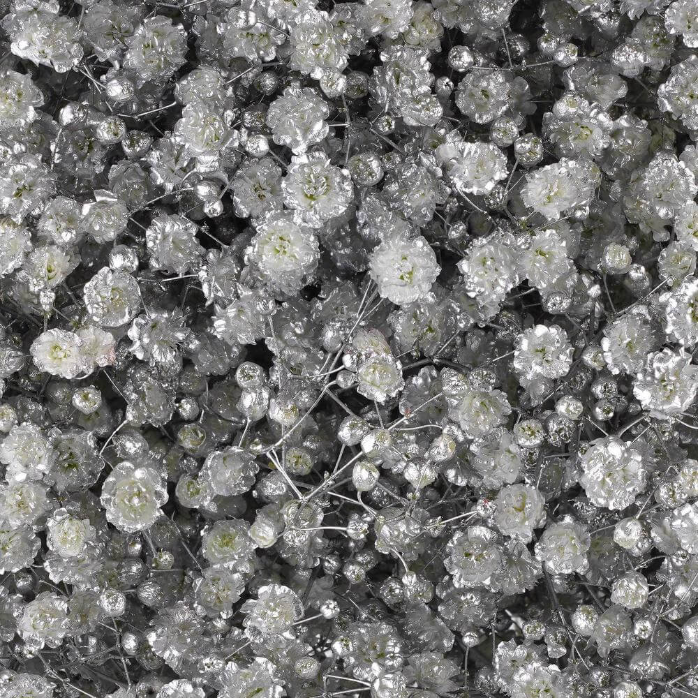 esmeralda-farms-gypsophila-metallic-silver-tint