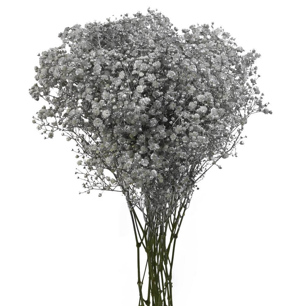 esmeralda-farms-gypsophila-metallic-silver-tint-2