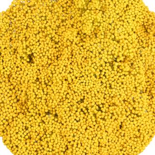 esmeralda-farms-rice-flower-yellow-tint