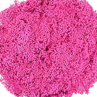 esmeralda-farms-rice-flower-pink